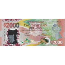 (534) ** PN42 Guyana 2000 Dollars Year 2021 (Comm)